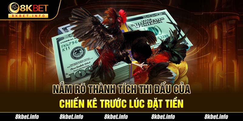 Nắm rõ thành tích thi đấu của chiến kê trước lúc đặt tiền